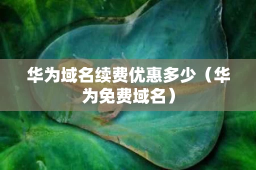 华为域名续费优惠多少（华为免费域名）