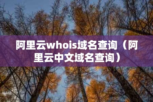 阿里云whois域名查询（阿里云中文域名查询）