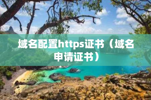 域名配置https证书（域名申请证书）