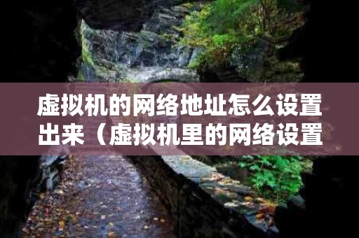虚拟机的网络地址怎么设置出来（虚拟机里的网络设置）