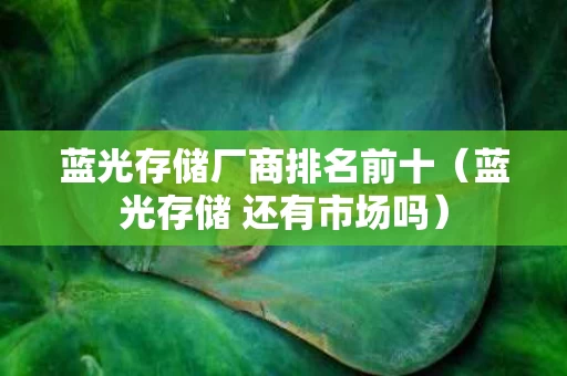 蓝光存储厂商排名前十（蓝光存储 还有市场吗）