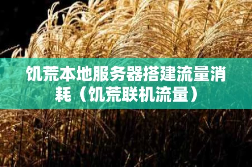 饥荒本地服务器搭建流量消耗（饥荒联机流量）