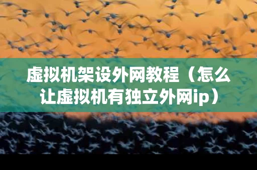 虚拟机架设外网教程（怎么让虚拟机有独立外网ip）