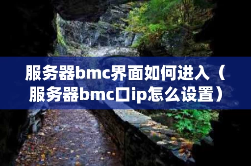 服务器bmc界面如何进入（服务器bmc口ip怎么设置）