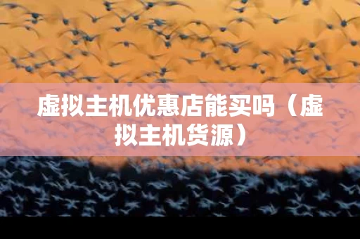 虚拟主机优惠店能买吗（虚拟主机货源）