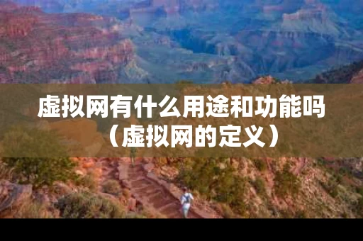 虚拟网有什么用途和功能吗（虚拟网的定义）