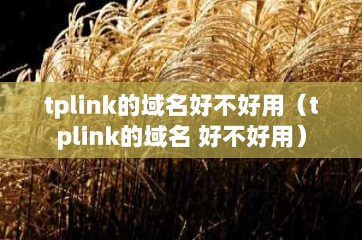 tplink的域名好不好用（tplink的域名 好不好用）