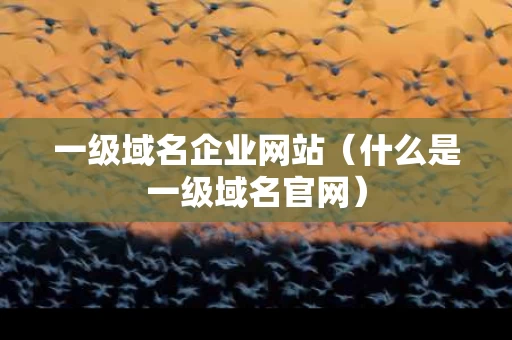 一级域名企业网站（什么是一级域名官网）