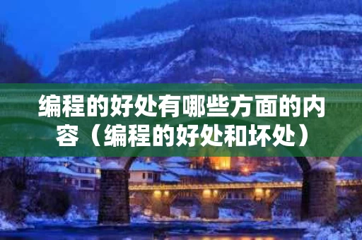 编程的好处有哪些方面的内容（编程的好处和坏处）