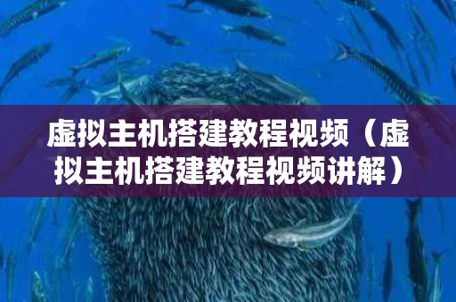 虚拟主机搭建教程视频（虚拟主机搭建教程视频讲解）