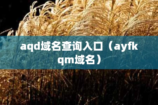 aqd域名查询入口（ayfkqm域名）