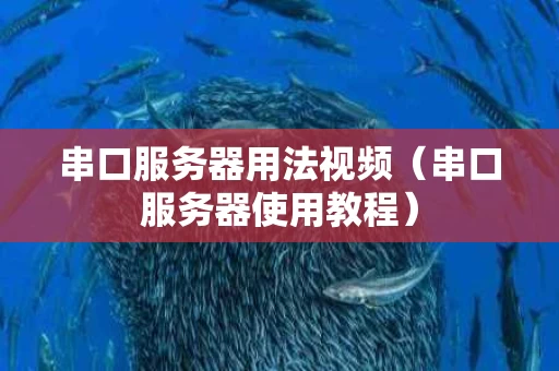 串口服务器用法视频（串口服务器使用教程）