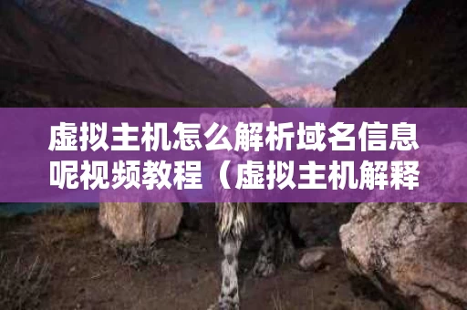 虚拟主机怎么解析域名信息呢视频教程（虚拟主机解释）