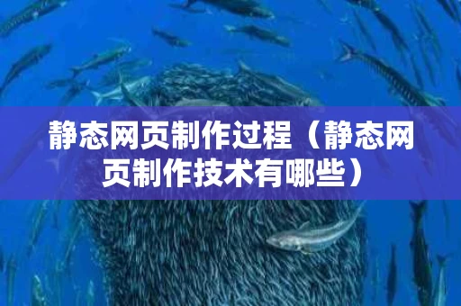 静态网页制作过程（静态网页制作技术有哪些）