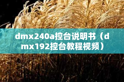 dmx240a控台说明书（dmx192控台教程视频）