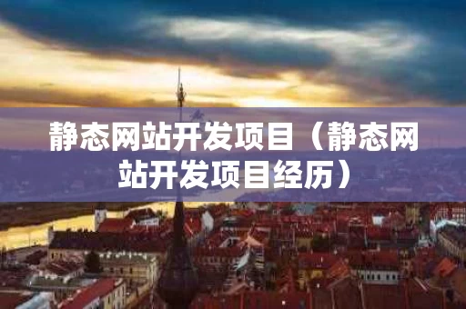静态网站开发项目（静态网站开发项目经历）
