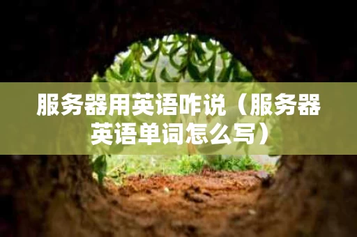 服务器用英语咋说（服务器英语单词怎么写）