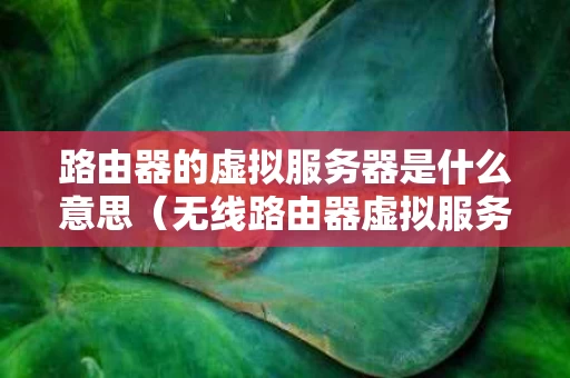路由器的虚拟服务器是什么意思（无线路由器虚拟服务器是什么意思）