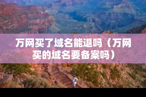 万网买了域名能退吗（万网买的域名要备案吗）
