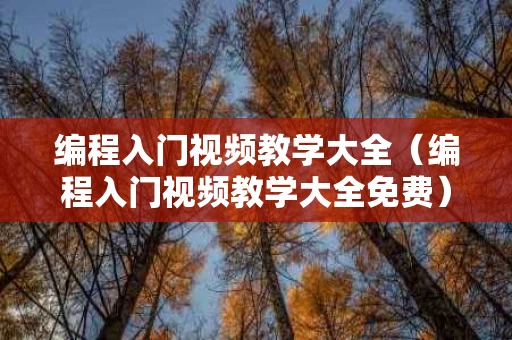 编程入门视频教学大全（编程入门视频教学大全免费）