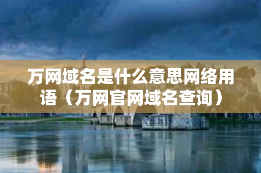 万网域名是什么意思网络用语（万网官网域名查询）