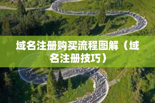 域名注册购买流程图解（域名注册技巧）