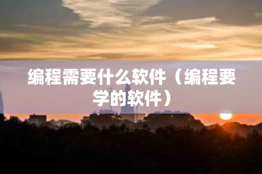 编程需要什么软件（编程要学的软件）