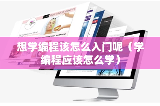 想学编程该怎么入门呢（学编程应该怎么学）