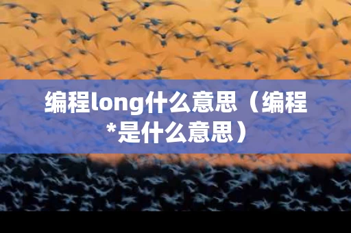 编程long什么意思（编程*是什么意思）