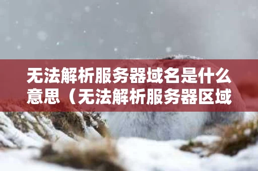 无法解析服务器域名是什么意思（无法解析服务器区域名）