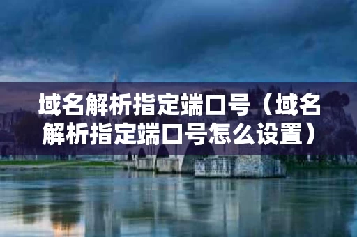 域名解析指定端口号（域名解析指定端口号怎么设置）