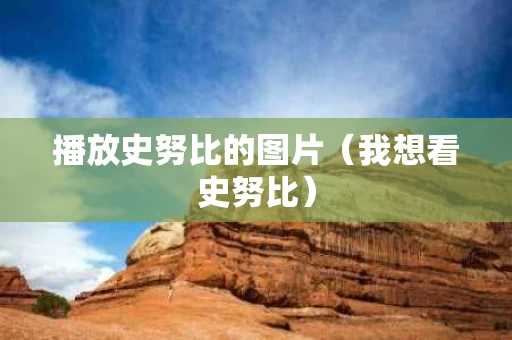 播放史努比的图片（我想看史努比）