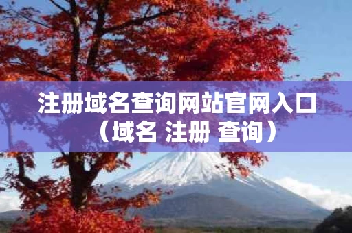注册域名查询网站官网入口（域名 注册 查询）