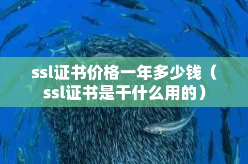 ssl证书价格一年多少钱（ssl证书是干什么用的）