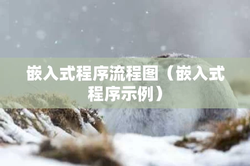 嵌入式程序流程图（嵌入式程序示例）
