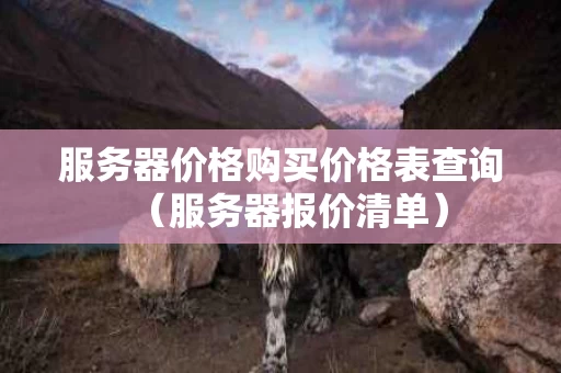 服务器价格购买价格表查询（服务器报价清单）