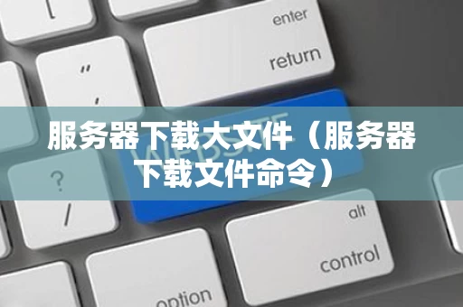 服务器下载大文件（服务器下载文件命令）