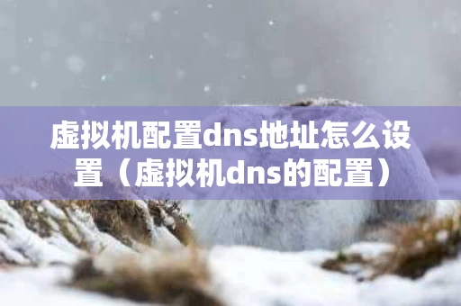 虚拟机配置dns地址怎么设置（虚拟机dns的配置）