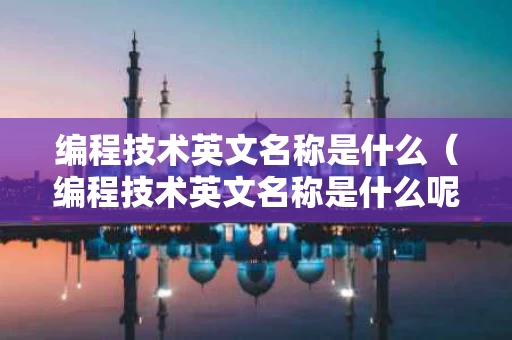 编程技术英文名称是什么（编程技术英文名称是什么呢）