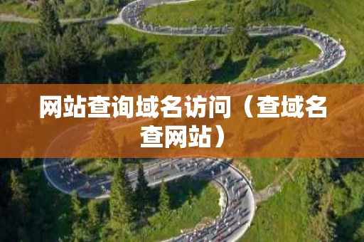 网站查询域名访问（查域名查网站）