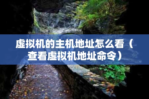 虚拟机的主机地址怎么看（查看虚拟机地址命令）