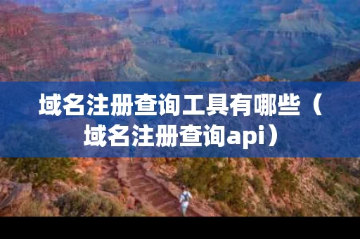 域名注册查询工具有哪些（域名注册查询api）