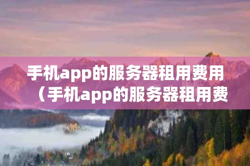 手机app的服务器租用费用（手机app的服务器租用费用怎么算）