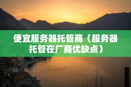 便宜服务器托管商（服务器托管在厂商优缺点）