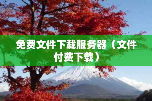 免费文件下载服务器（文件付费下载）