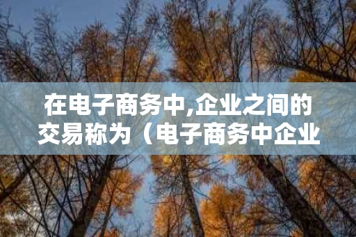 在电子商务中,企业之间的交易称为（电子商务中企业之间的交易叫什么）
