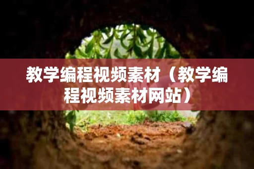教学编程视频素材（教学编程视频素材网站）