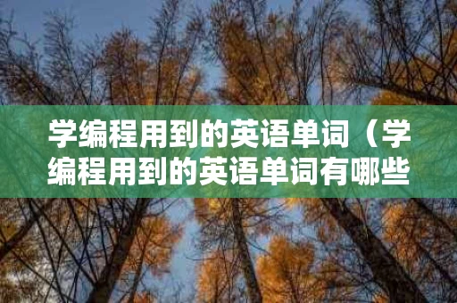 学编程用到的英语单词（学编程用到的英语单词有哪些）