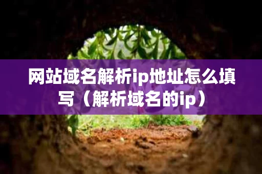 网站域名解析ip地址怎么填写（解析域名的ip）