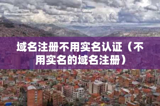 域名注册不用实名认证（不用实名的域名注册）